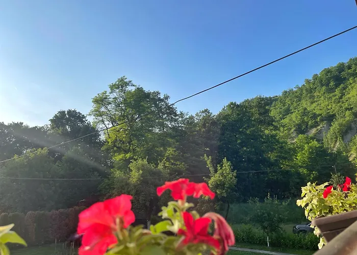 Holiday Residence Buric